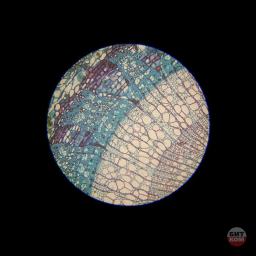 Микроскоп Ломо П-1 4