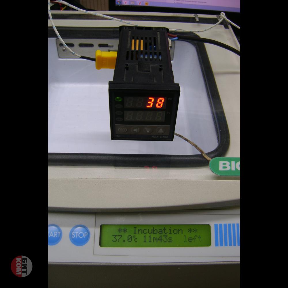 Инкубатор карт BIO-RAD scangel SG000337